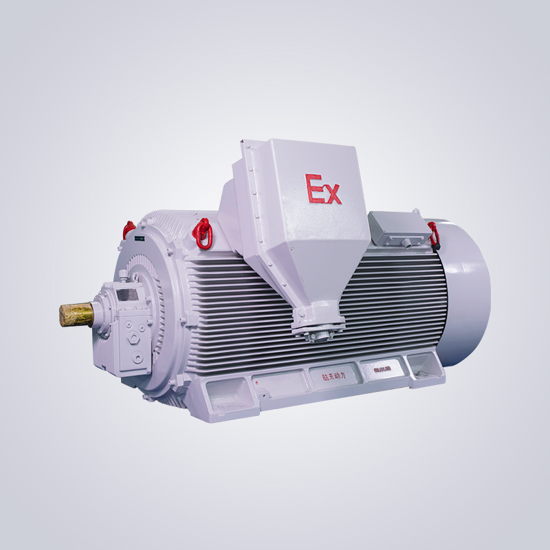 Y2W高壓無(wú)火花型三相異步電機(jī)