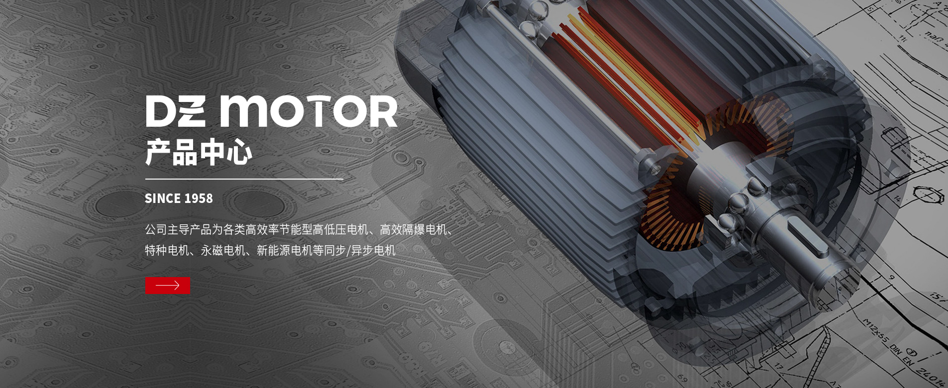 大中電機(jī)產(chǎn)品